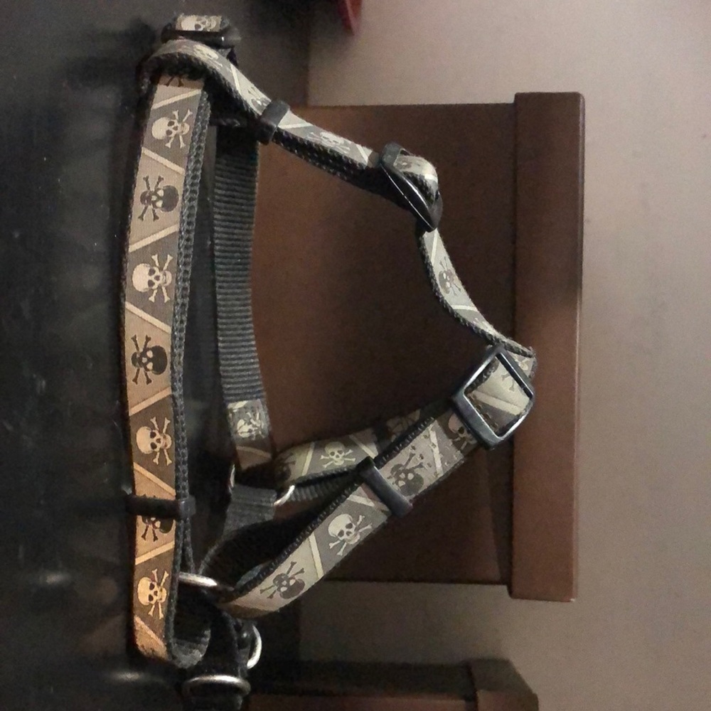Dog Harness for Small to Med size dogs.